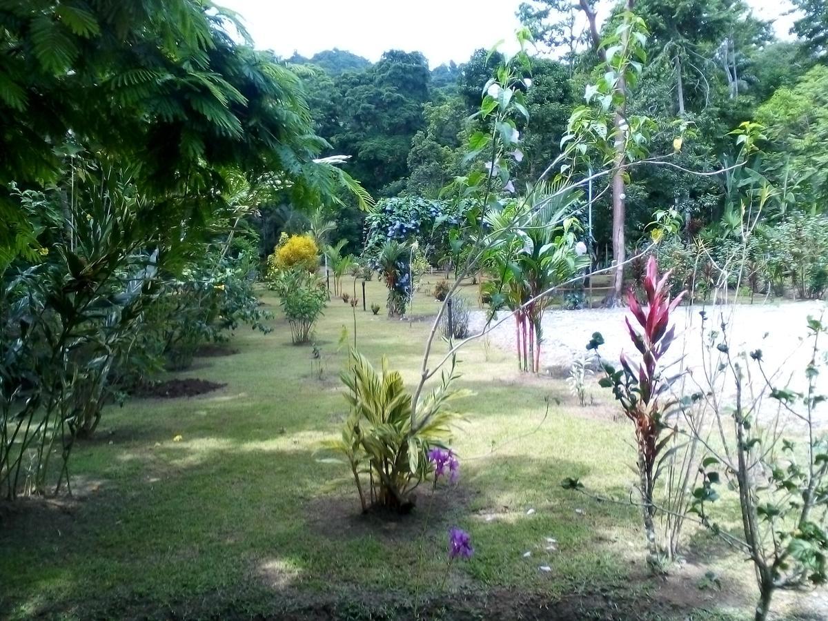 Puerto Vargas Lodge Cahuita Exteriér fotografie